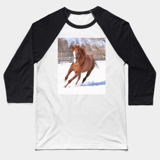 Verrazano filly Baseball T-Shirt